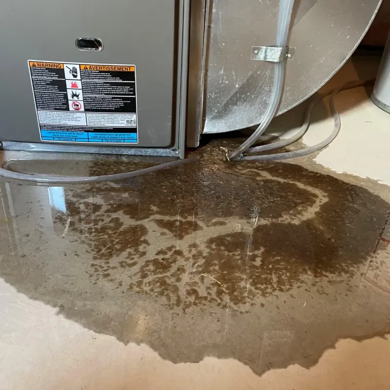 Appliance Leak Cleanup in Cloquet, MN