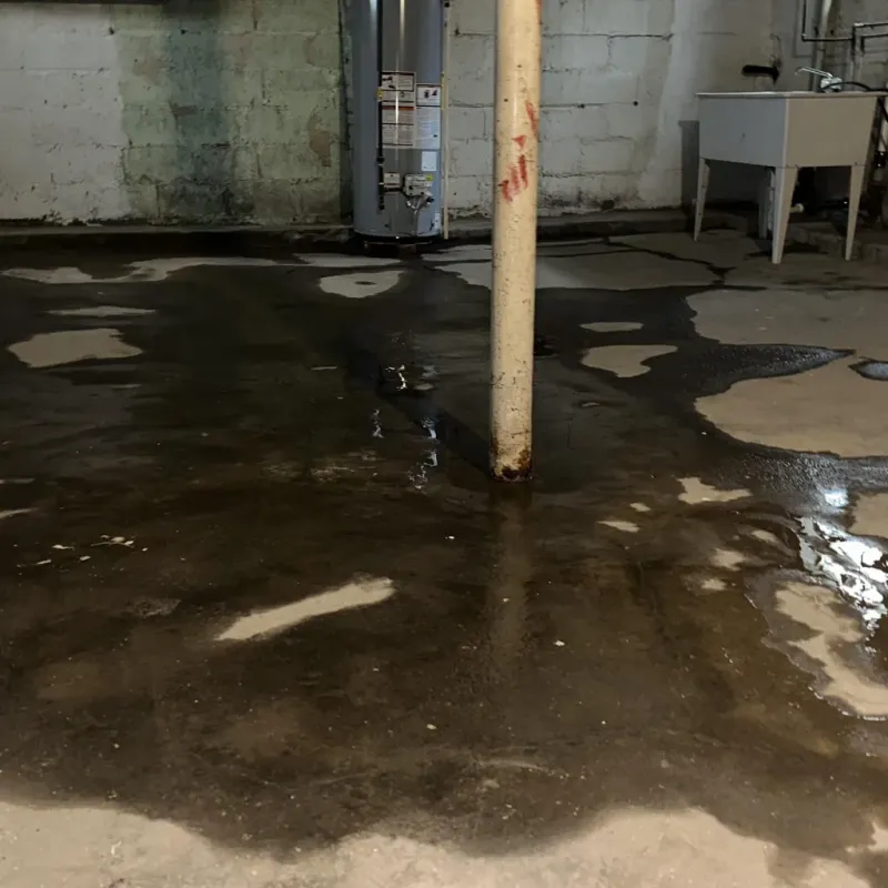 Emergency Water Extraction And Removal in Cloquet, MN